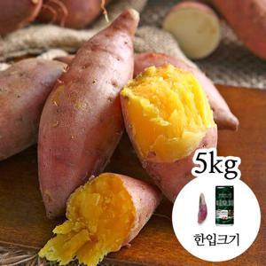 [감동 고구마]해남 세척 꿀고구마 5kg 한입