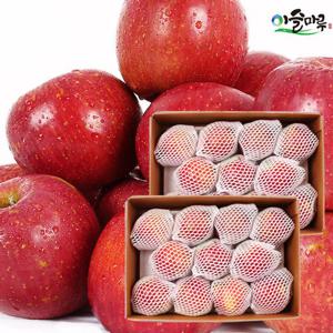 [이슬마루] 경북의성 김영선님의 햇 사과 2.5kg x 2박스 (5kg)