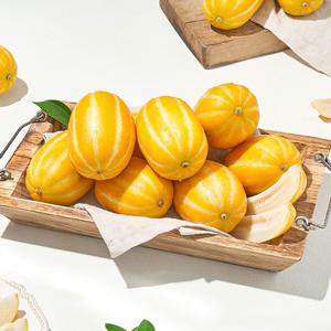 [자연맛남] 꿀당도 정품 성주 참외 2kg (로얄과/6-10과)