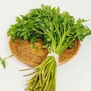 [농부마음]청도 무농약 미나리 200g*2팩 당일수확