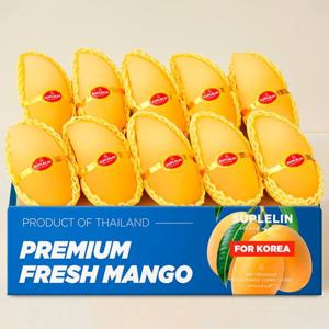 [수플린] 현지의 달콤함, 항공직송 태국골드망고 4kg (8~16입)
