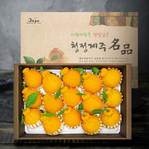 프리미엄 한라봉 5Kg (13~19과)