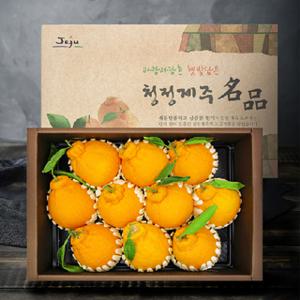 프리미엄 한라봉 3Kg (9~12과)