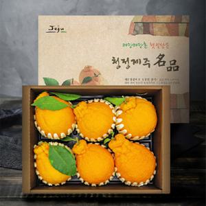 프리미엄 한라봉 2Kg (6~8과)