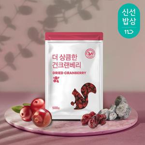 [산과들에] 건크랜베리 500g x 2봉 / 총 1kg 신선한 건과 건과일 간식 크랜베리