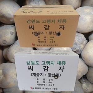 씨감자 수미 20kg