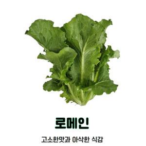 자연미가 국내산 무농약상추 로메인 1kg  /  쌈채소의대표 고소한맛과 아삭한식감~