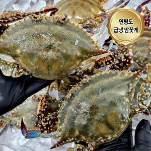 [기타]연평도 급냉 암꽃게 국내산 냉동꽃게 2kg (6-10미)