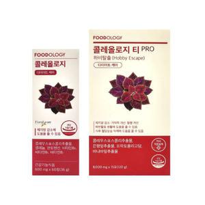 푸드올로지 콜레올로지 빨간통 다이어트 600mg X 60정 + 콜레올로지 티 프로 15포 빨간물