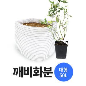 숨쉬는 블루베리 깨비화분, 가정용 분갈이 화분(50L)