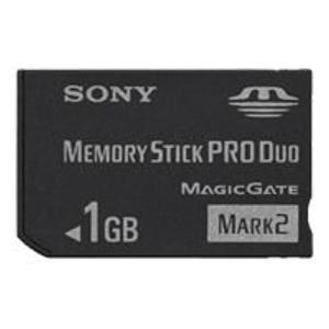 소니 1GB 메모리 스틱 PRO 듀오 플래시 카드 MSMT1G