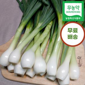 신선한 함평 줄기양파 3kg