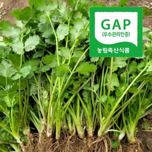 [신선n] 하우스에서 키운 뿌리 비세척 고수 한근 (400그램내외)