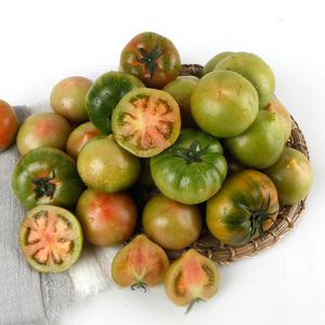 대저토마토 찰토마토 M 2.5kg