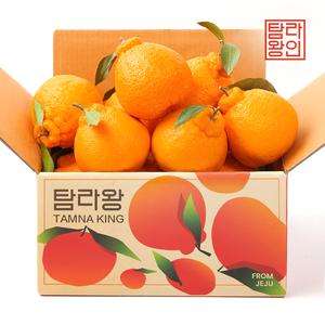 [탐라왕] 제주 한라봉 4kg