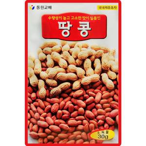 동원 땅콩 씨앗 30g 땅콩씨 종자