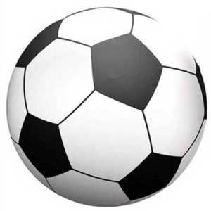 큰공 대형 축구공 에어볼 펌프 축구 레크레이션 워크샵