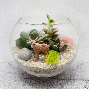 다육 테라리움 DIY 만들기 키트_동물 시리즈(15cm)
