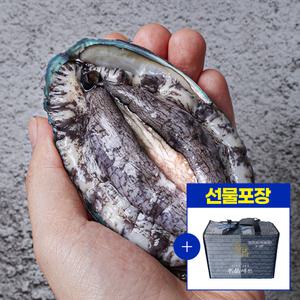 [선물세트포장]국내산 해남 완도 프리미엄 활전복 1kg(7~9미)+전복칼증정