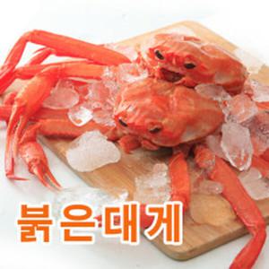 해정상회 울진 후포항 붉은대게 3미(1.6kg내외)