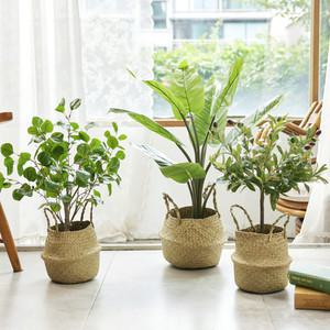 홈즈 조화나무 인조화분 플랜테리어 인테리어 조화모음전