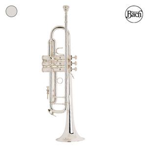 바하튜바 Bach Truba LT180S37G 유포늄/관악기/듀바