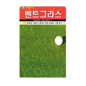 벤트그라스 골프장 잔디 잔듸 양잔디 씨앗 종자 20g 정원꾸미기 4계절잔디 씨앗판매 종묘사
