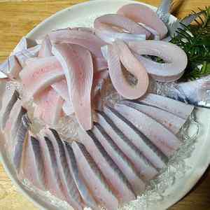 횟감용 손질 생물 병어회 1kg (12~16미 내외) 통영 조업 당일 발송