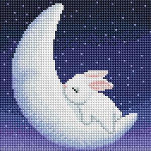 토끼와 달 (캔버스) 보석십자수 25x25
