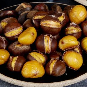 칼집약단밤 1kg~5kg 고소 달콤 구우면 톡!! 대용량