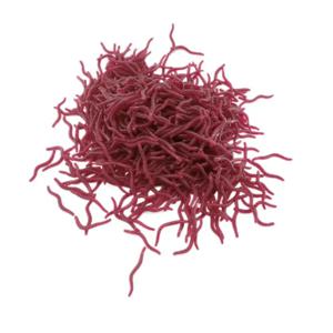 100PCS 소프트 루어베이스 도미 Bloodworm 낚시 지렁이 웜 고무 레드 벌레 미끼 물고기 냄새 현실적인 태클