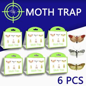 SilentKing 6PCS 나방 트랩 식료품 저장실 의류 주방 음식 홈 가든 해충 방제 나방 트랩 페로몬 나방 스티커 나방 트랩