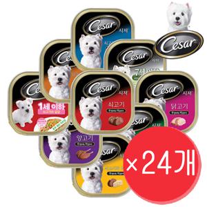 시저  강아지 습식 주식캔 사료 100g x 24개 세트