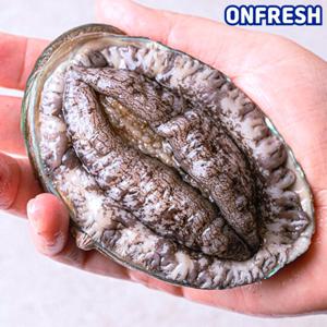 완도활전복 1kg 8-9미(미당111g내외) [산소팩, 무료배송]
