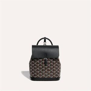GOYARD 알팡 백팩 미니 블랙 ALPIN2MINTY01CL01P