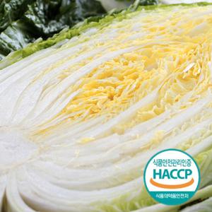 HACCP인증 아삭아삭 강원도 인제 청정지역 절임배추 20kg 김장주문예약 주문  절인배추