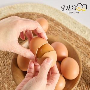 [알참참]HACCP 구운계란 대란 30구x2판 (총 60구)