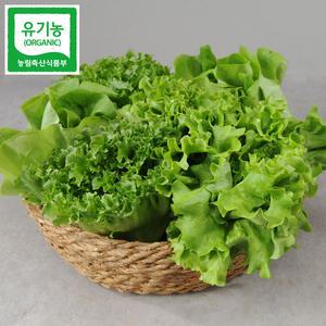 국내산 유기농 샐러드 쌈 채소 1kg