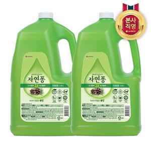 자연퐁 솔잎 3.92L 2개