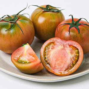 새콤달콤 부산 짭짤이토마토 대저토마토 2.5kg L