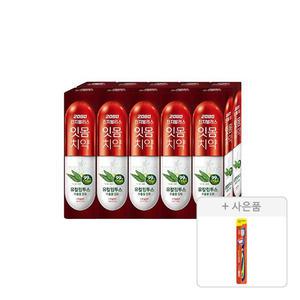 2080 진지발리스 유칼립투스 스트롱민트향 치약 150g, 10입, 1개 + 증정(토탈케어 칫솔, 일반모, 1개)