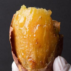 24년수확 해남 꿀고구마 5kg (못난이)