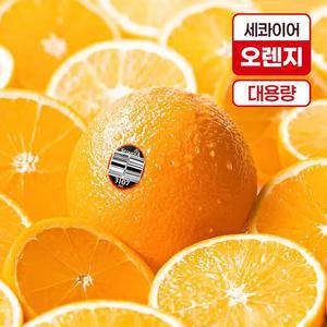 세콰이어 오렌지 대용량 18kg 150g내외 110-113개입 소과