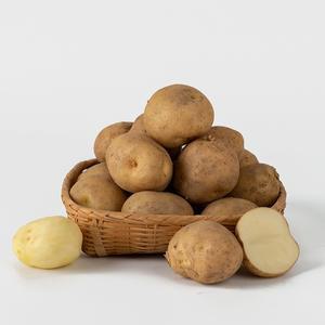 25년 포슬포슬 부드러운 햇감자 5kg 중대혼합 (50-100g)