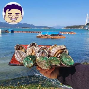 [기타]가람 완도산 중전복  15-18미 1kg+손질솔