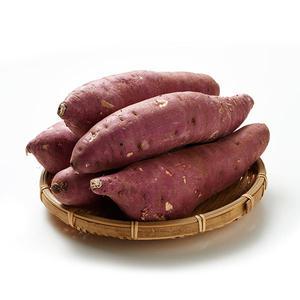 [롯데백화점]남도미향 24년 세척 호박고구마 (대 5kg)