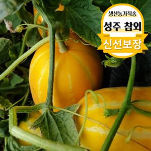성주참외 꿀참외 가정용 정품 로얄과 꼬마 못난이 2/3/5kg 산지발송