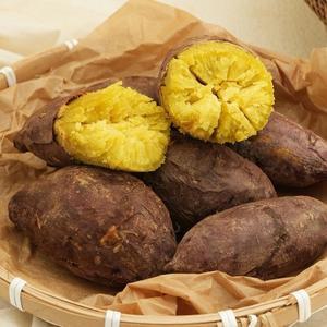 산지직송 해남 밤고구마 10kg 못난이