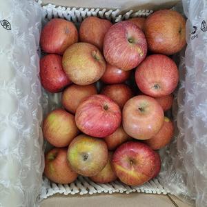 J/ 부사 가정용 (중대과) (2kg) (5-7과) 못난이사과/ 흠집사과/ 가정소비용