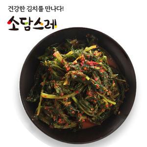 소담스레 국내산 김치 열무김치 5kg
